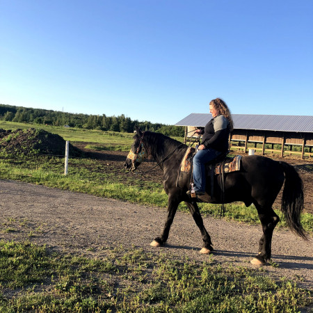 Talon cheval Canadien