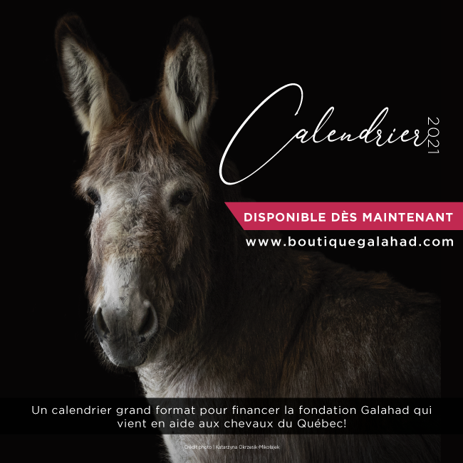 Calendrier 2021  Le Refuge de Galahad