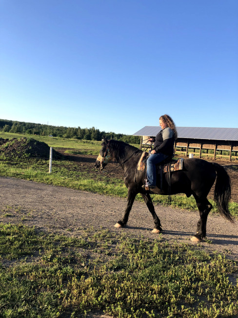 Talon cheval Canadien