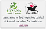 Logo - Lozana Santé Equine Health